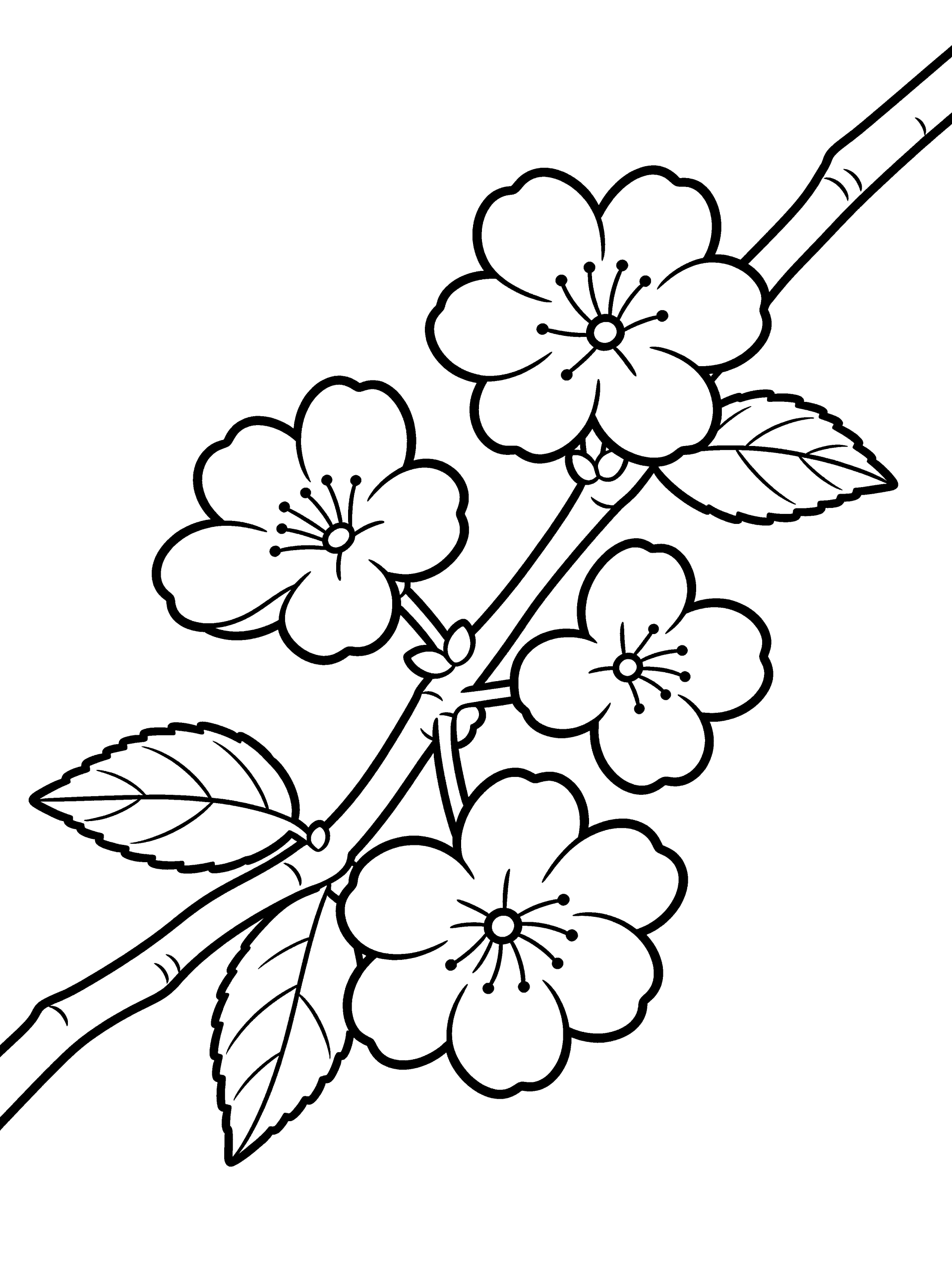 Flower Cherry Blossom Branch Coloring Page – free printable black and white line art
