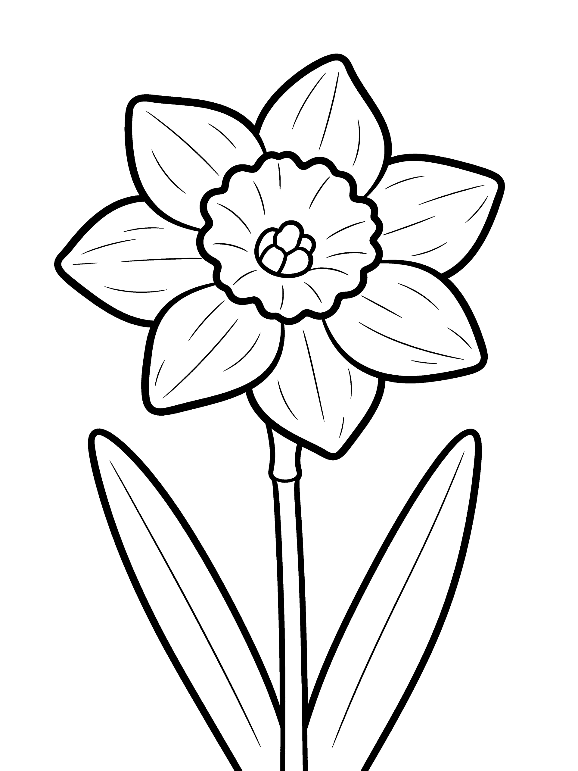 Flower Daffodil Blooming Coloring Page – free printable black and white line art