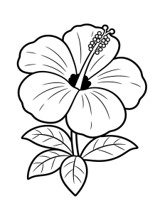 Flower Hibiscus Bloom Coloring Page – free printable black and white line art