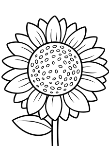 Flower Sunflower with Seeds Coloring Page – free printable black and white line art