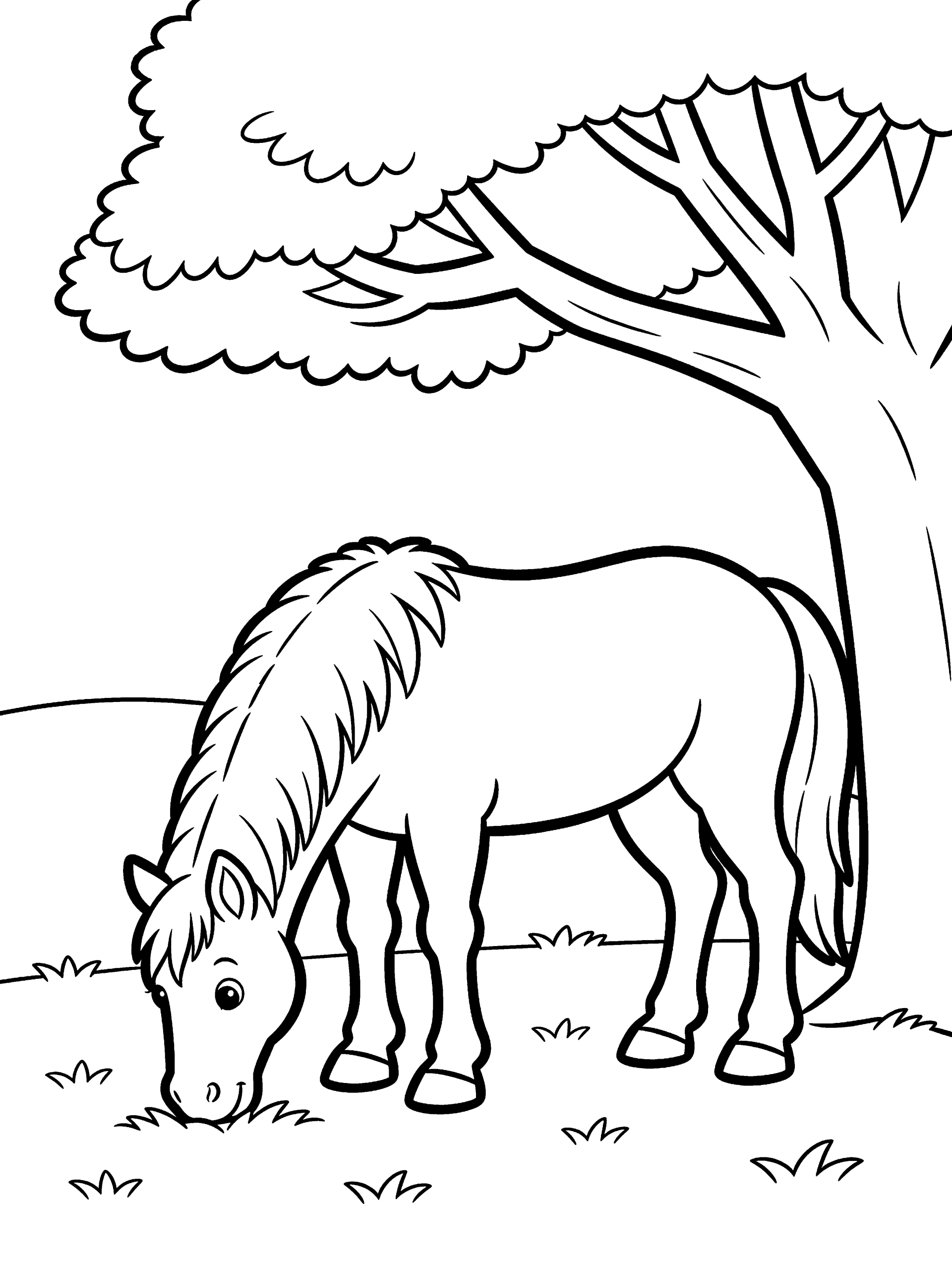 Horse Grazing Under a Coloring Page – free printable black and white line art