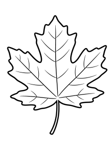 Thanksgiving Big Maple Leaf Coloring Page – free printable black and white line art