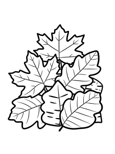 Thanksgiving Pile of Autumn Coloring Page – free printable black and white line art